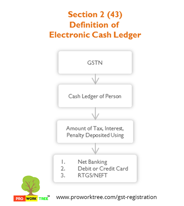 Definition of Electronic Cash Ledger