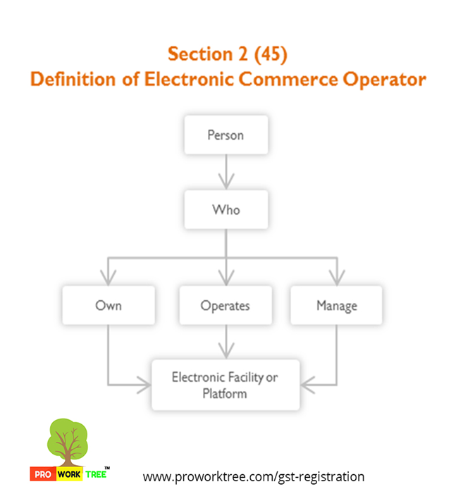 Definition of Electronic Commerce Operator