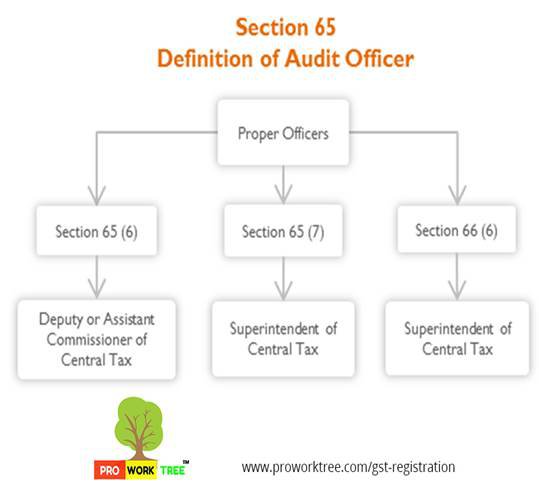 Definition of Audit Officer
