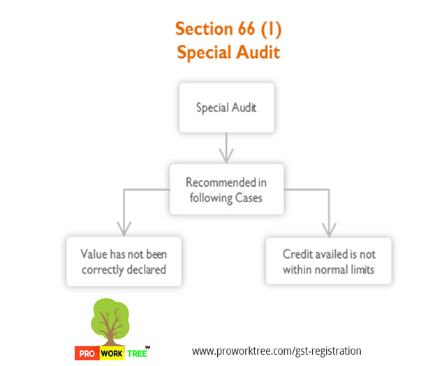 Special Audit